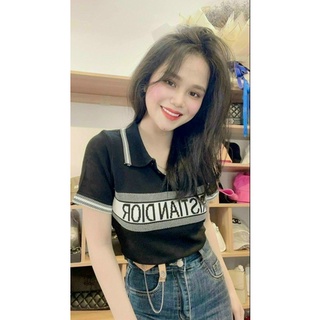 ÁO LEN CỔ BẺ POLO NỮ
