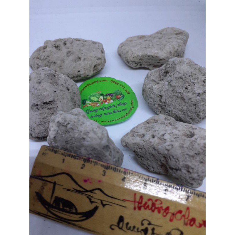 1kg Đá Pumice Indo, Đá Lông Vũ Size 2-4cm, Dùng Lót Chậu, Rải Mặt Chậu, Lọc nước Hồ Cá