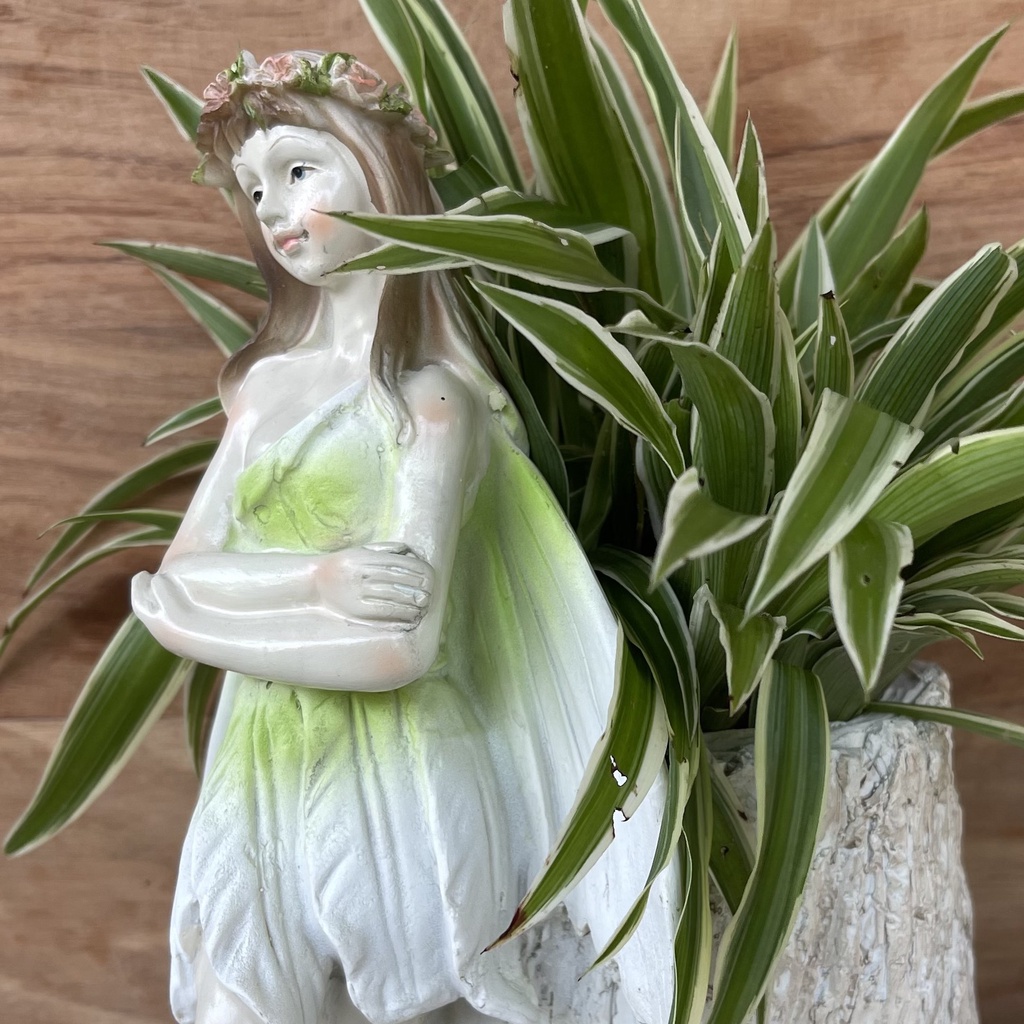 Chậu trồng cây để bàn hình tiên nữ, decor sân vườn