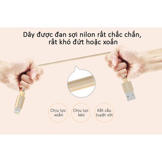 Cáp Sạc Iphone , Ipad... Lightning Orico USB LTF-10 (Bạc) -vitinhth