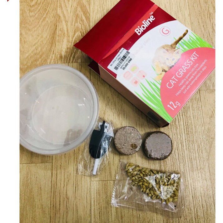 Bộ Trồng Cỏ Tươi Hạt Giống Cỏ Tươi Cho Mèo Cat Grass Kit Bioline 12g