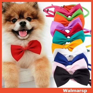 Vòng cổ thú cưng Dây thắt nơ có thể điều chỉnh Vòng cổ chó con mèo