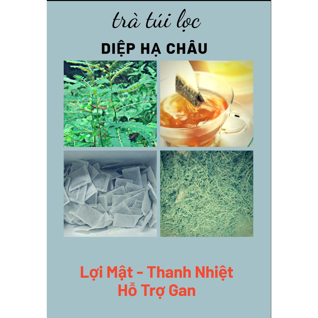 Trà Diệp Hạ Châu - 40 túi lọc, Thanh Nhiệt, Giảm Mụn Nhọt