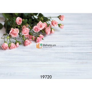 Phông nền 3D chụp ảnh sản phẩm 19720