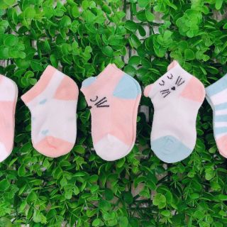 [Set 5 đôi ]Tất lưới hè thu đẹp cho bé
