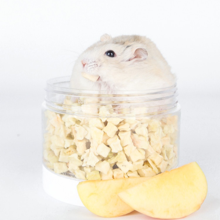 Táo sấy khô - Thức ăn hamster, thỏ, bọ, sóc