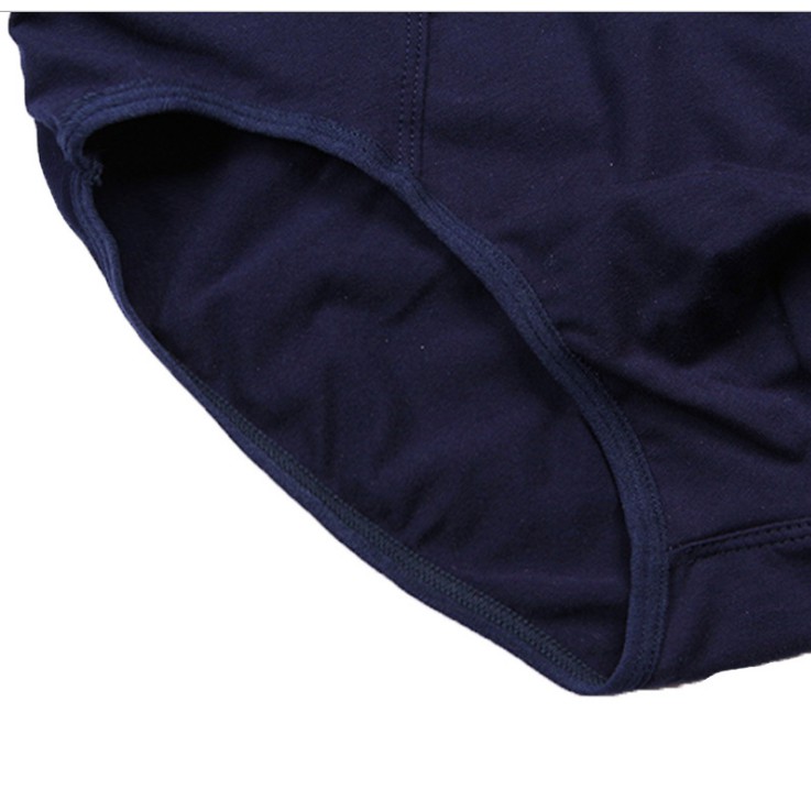 Quần Lót Nam Cotton Dày Co Giãn Bốn Chiều ( Q187 )