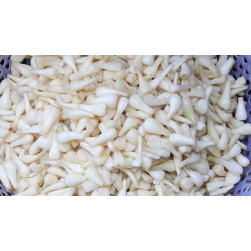 Củ Kiệu Tươi Làm Sạch