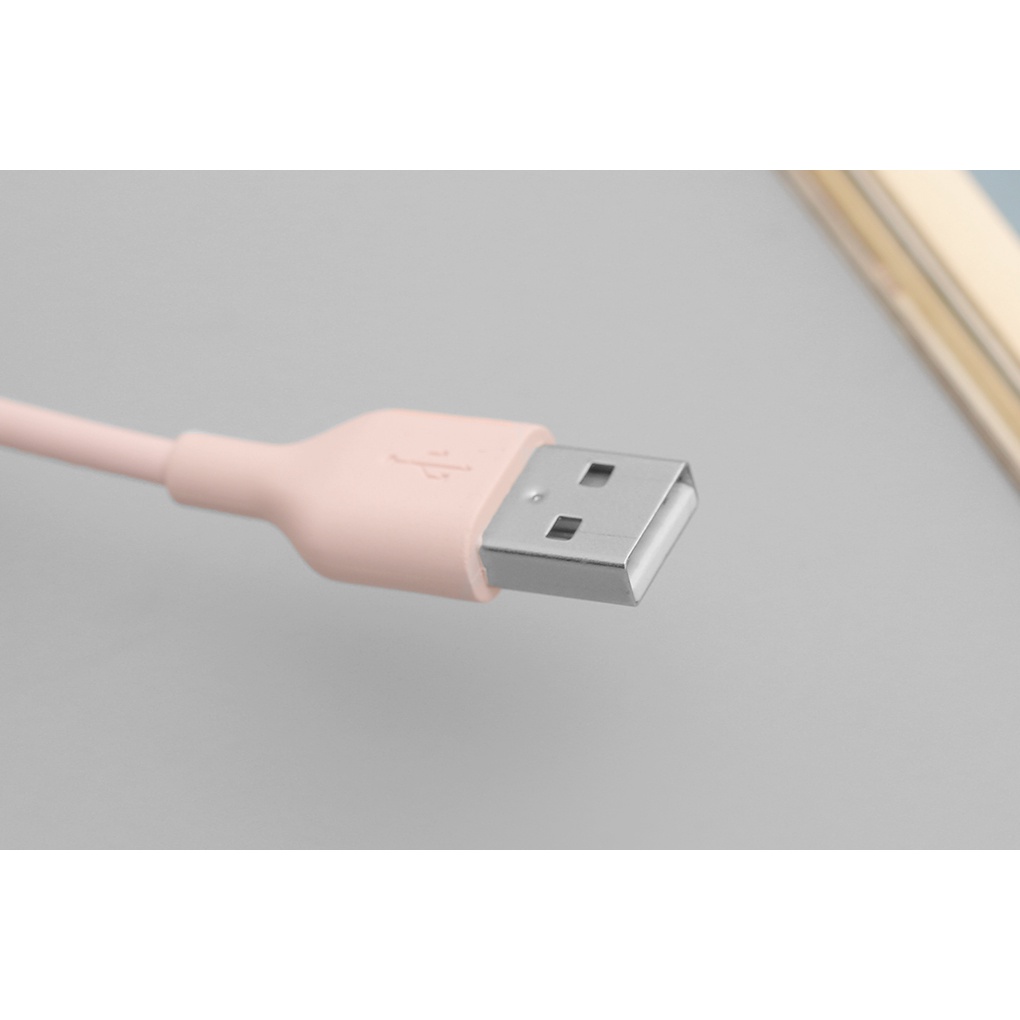 Cáp Type C 1m AVA DS449-TB