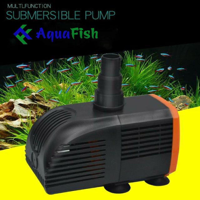 Máy bơm Periha PD 4200, 5200, 6200, 7200 thế hệ mới chuyên