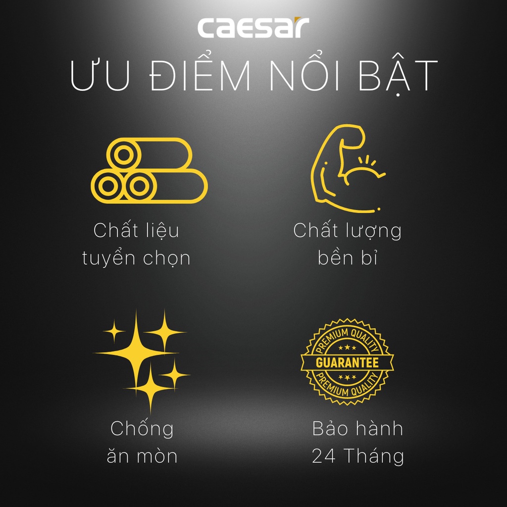 Bộ Xả Ty  Lavabô - BF603 CAESAR
