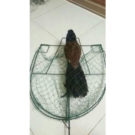 Mẹt bẫy chim bìm bịp giá siêu sốc