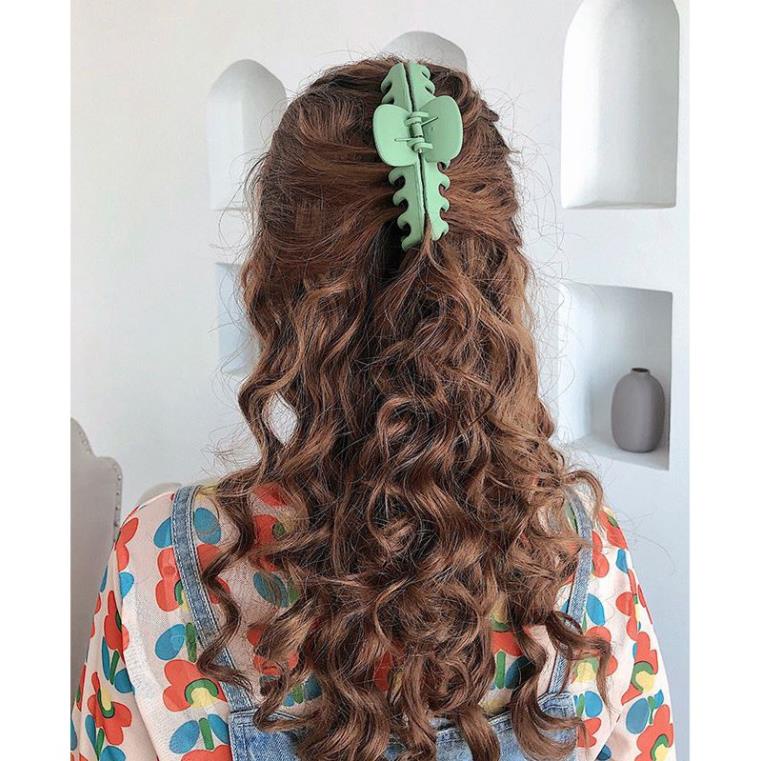 Kẹp càng cua Hàn Quốc, kẹp tóc nữ xoắn Xinh C59