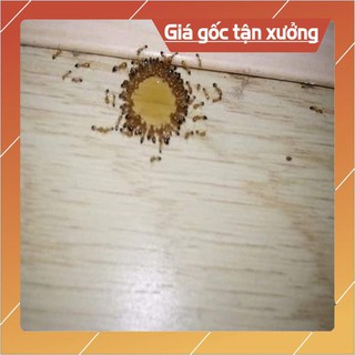  THUỐC DIỆT KIẾN, DIỆT GIÁN THẦN THÁNH