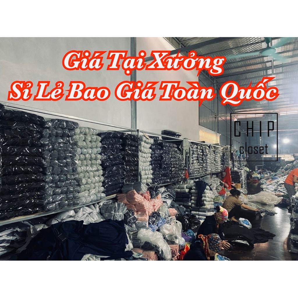 Quần Ngủ Cotton Thái Lan 😍 Quần Short Thái Lan Hình Đáng Yêu Chất Mát Mịn [GIÁ XƯỞNG]