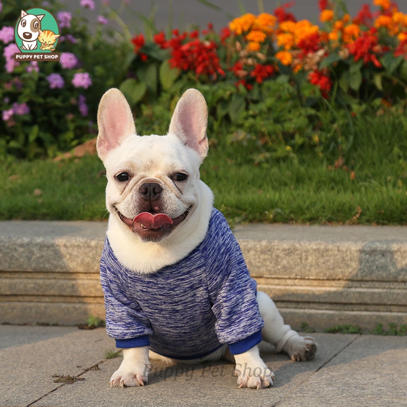 Áo Classic sợi dệt cho thú cưng, chó mèo