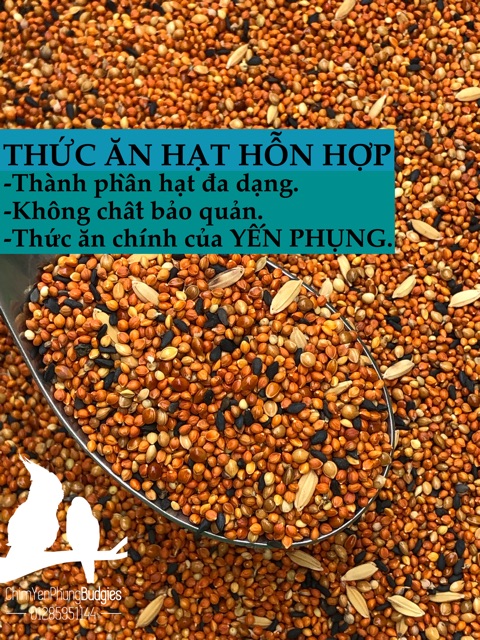2kg thức ăn hạt hỗn hợp cho chim Yến Phụng (Vẹt HongKong) và Chim Cảnh nhỏ.