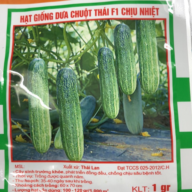 Hạt giống Dưa chuột Thái F1 chịu nhiệt - Thời vụ quanh năm