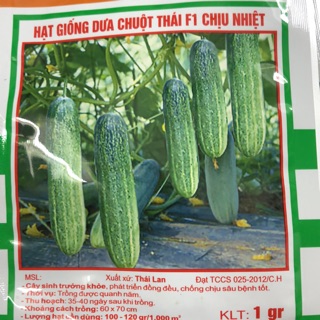 Hạt giống Dưa chuột Thái F1 chịu nhiệt - Thời vụ quanh năm