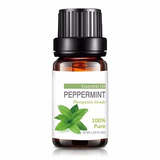 Tinh dầu bạc hà 10ml