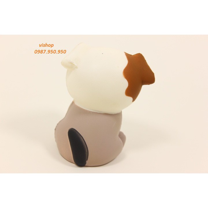 SquiShy chó cún đốm