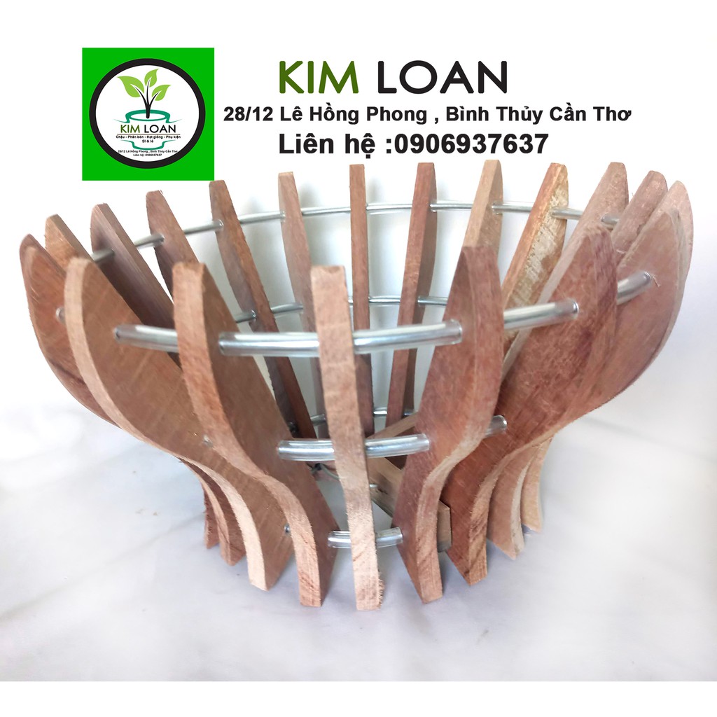 Chậu lan gỗ hình cốc 21x15cm