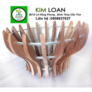 Combo 5 chậu lan gỗ hình cốc 21x15cm