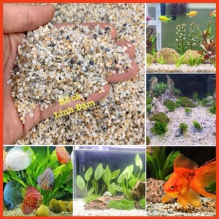 500gr Sỏi 3 Màu Trải Nền Bể Cá - Sỏi Trang Trí Bể Cá