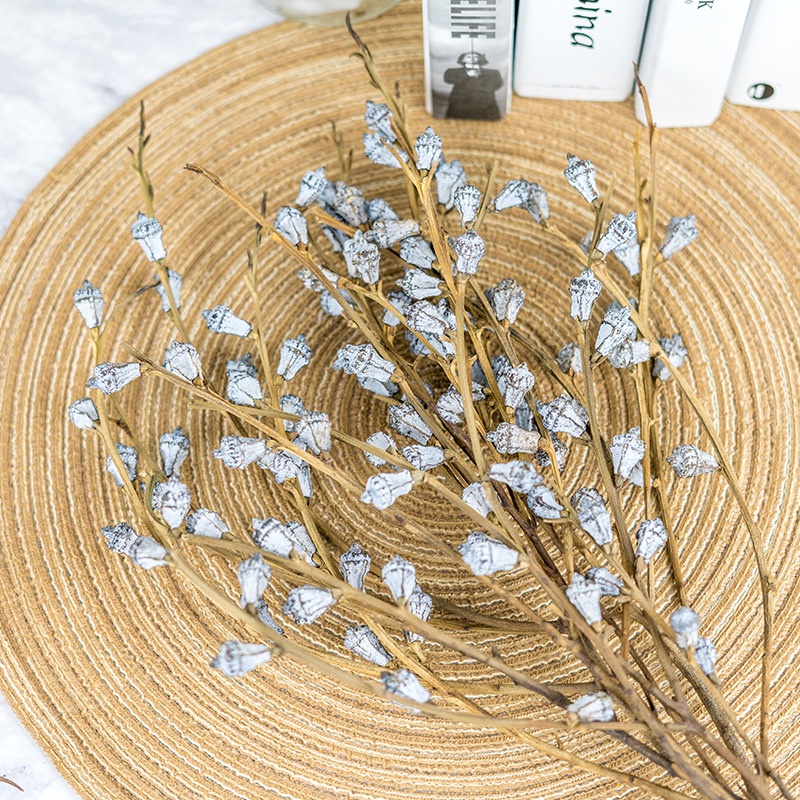 1 nhánh hoa bạch đàn khô thơm, dùng để chụp ảnh sản phẩm hoặc trang trí shop, decor quán cafe