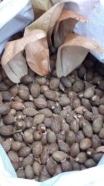 Hạt Đười Ươi Bay_100Gram