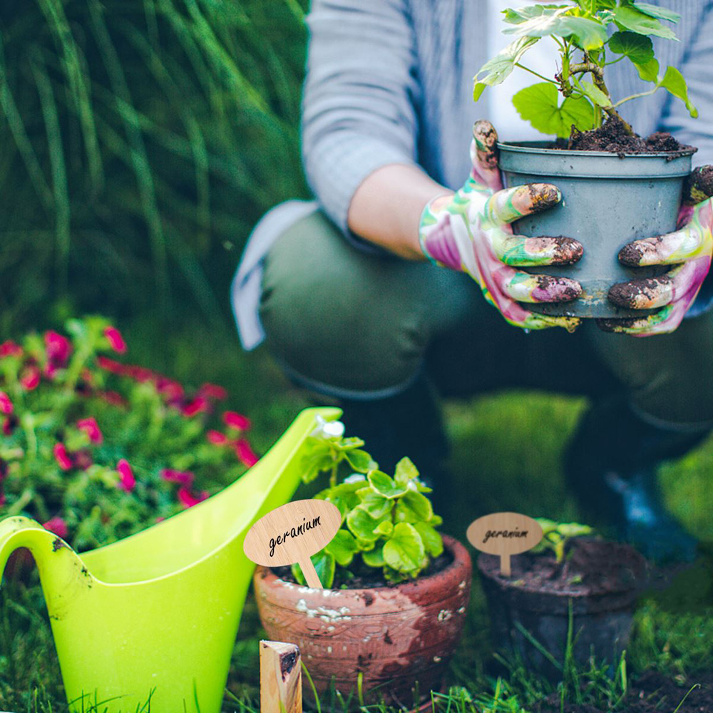 Set 50 Thẻ Gỗ Đánh Dấu Chậu Hoa Trang Trí