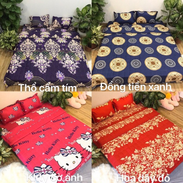 trọn bộ ga chun Chăn Hè cotton Poly 5 món -> được chọn mẫu /size
