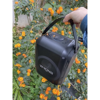 LOA BLUETOOTH W-KING T9S (Kèm 1 Micro không dây)  WKING