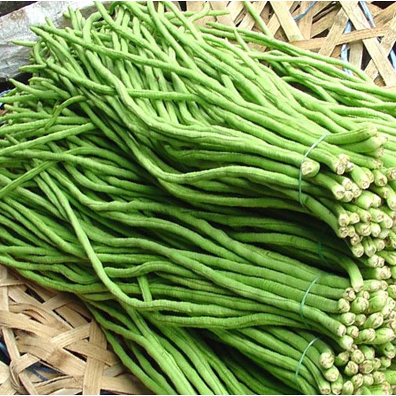 Hạt Giống Đậu Đũa Hạt Đen Phú Nông Cho Năng Suất Cao- Gói 10gr (HPN-047)