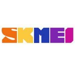 skmeindonesia.vn