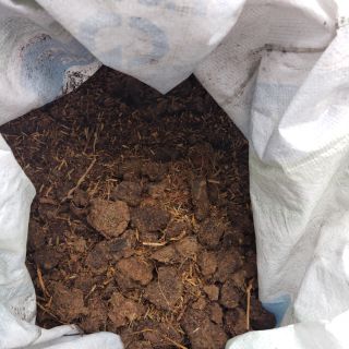 Phân Bò Hoai Mục (1 Kg) - đã qua xử lý