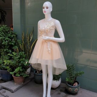 Công chúa đuôi tôm (ảnh thật shop chụp)