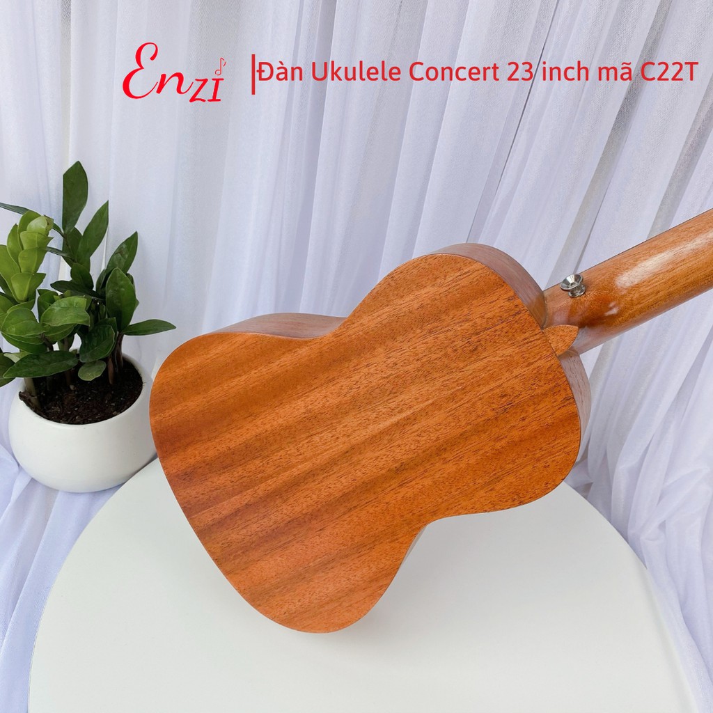 Đàn ukulele concert C22T Enzi 23 inch gỗ mộc họa tiết baby giá rẻ cho bạn mới bắt đầu tập chơi