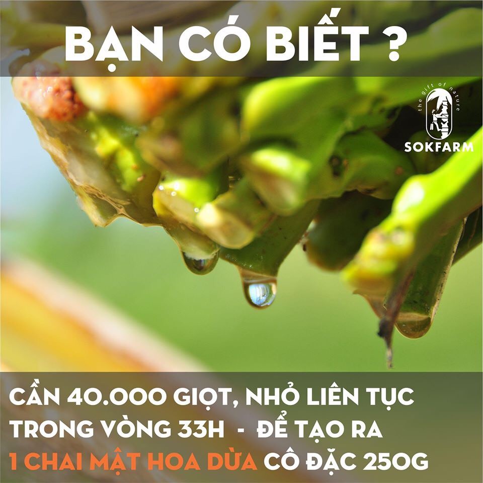MẬT HOA DỪA CÔ ĐẶC COCOFARM 300g