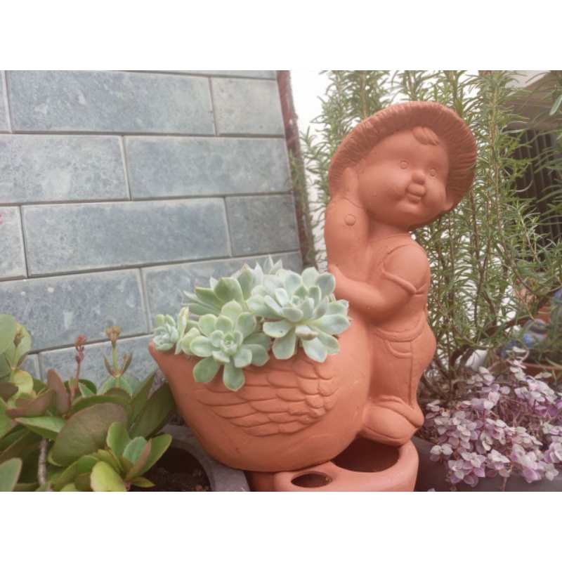 Chậu đất nung - chậu chàng trai ôm vịt