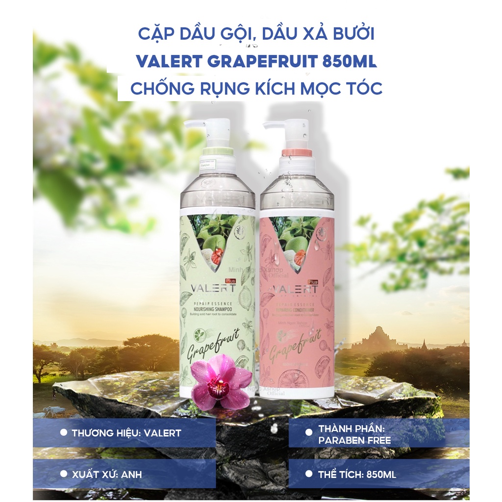 Dầu gội xả bưởi VALERT GRAPEFRUIT 850ml tặng xịt bưởi VITALYCIL phục hồi, chống rụng kích mọc tóc