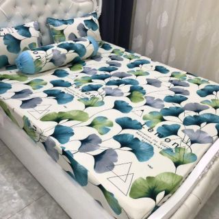 DRAP THUN M8 CÓ MỀN