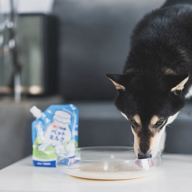 Sữa Bò Uống Liền HELL'S KITCHEN Nhật Bản dùng với Chó Mèo Túi 200ml