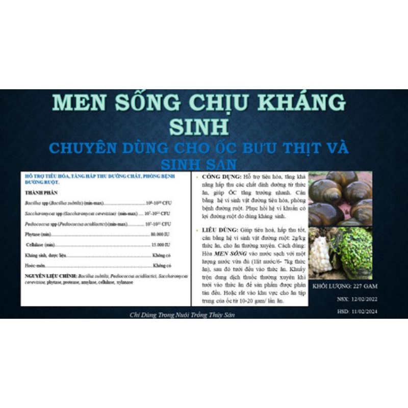 Men Sống cao cấp Cho Ốc Bưu, Tăng trọng nhanh, ngừa bệnh đường ruột 227gam/ gói
