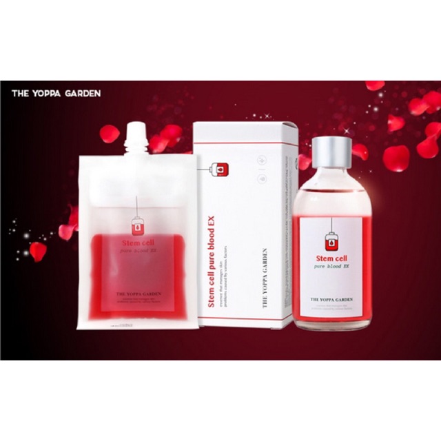 Tế bào gốc Stem cell