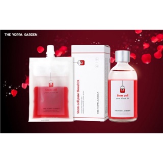 Tế bào gốc Stem cell