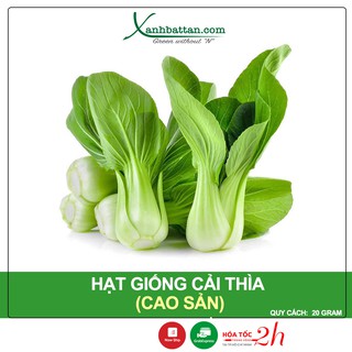 Hạt Giống Cải Thìa Phú Nông Gói 20 Gram