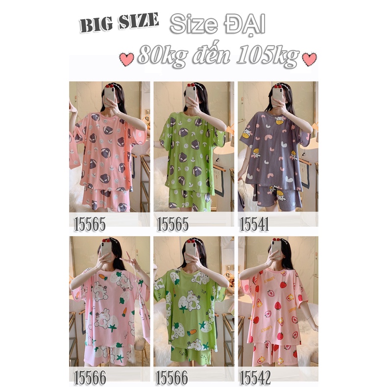 Đồ Bộ đùi short BIG SIZE SS-DAI cute dễ thương - 15541-15542-15565-15566