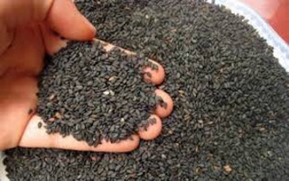Mè đen (vừng đen) chuẩn quê thơm ngon