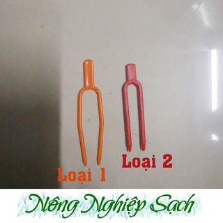 Combo 10 Que ghim cố định thân lan